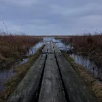 6 Person In Bjert *