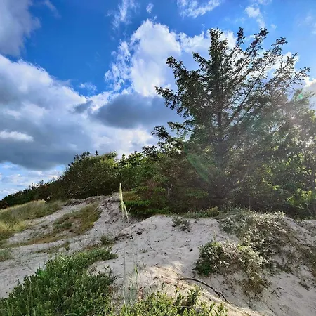 Casa vacanze 6 Person In Bjert-by Traum *