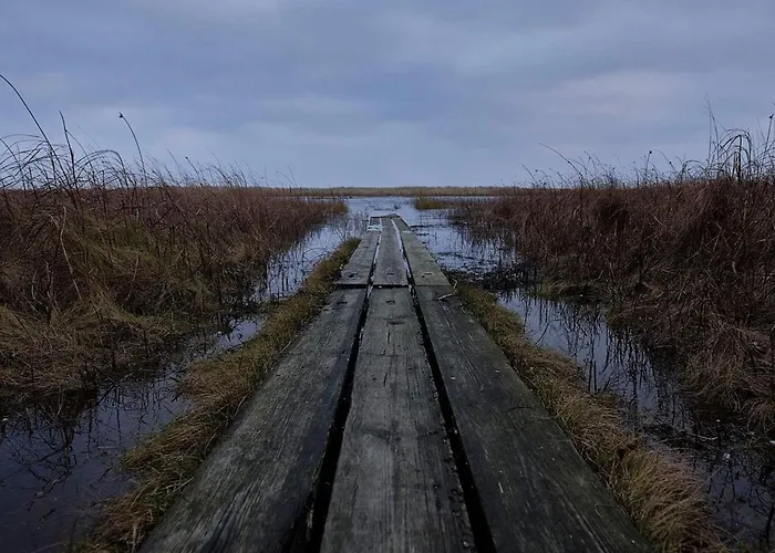 6 Person In Bjert-by Traum *