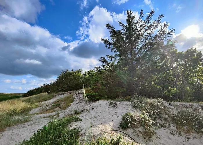 別荘 6 Person In Bjert-by Traum *