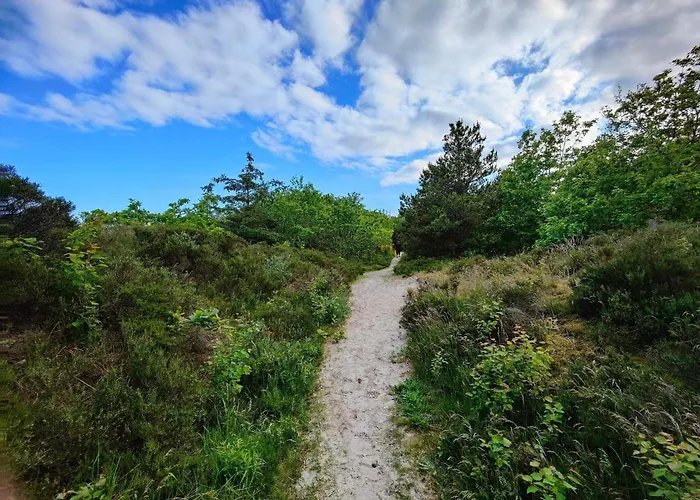 6 Person In Bjert-by Traum Binderup Strand